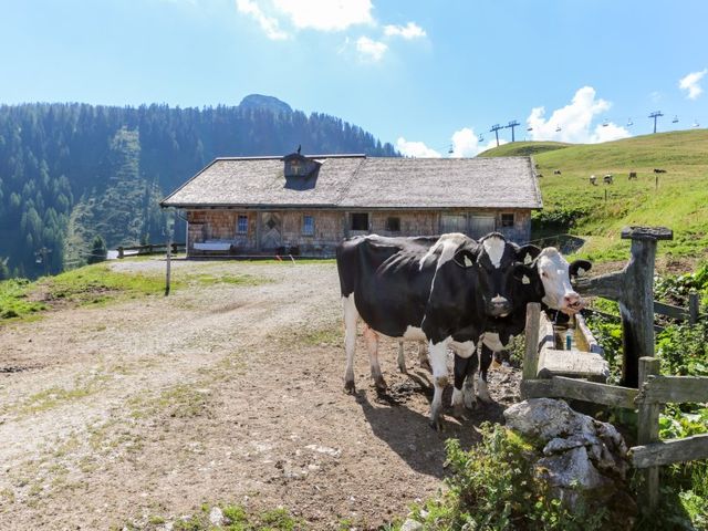 Almhütte Müllergut